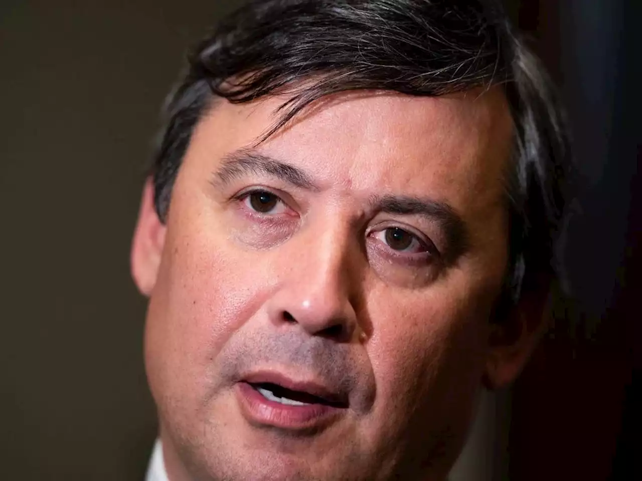 Global Affairs says Michael Chong targeted by foreign smear campaign on Chinese app