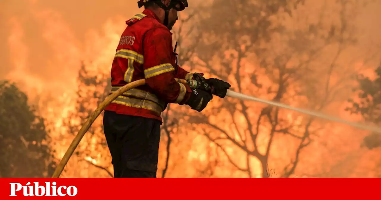 Duas frentes activas preocupam bombeiros no concelho de Vimioso