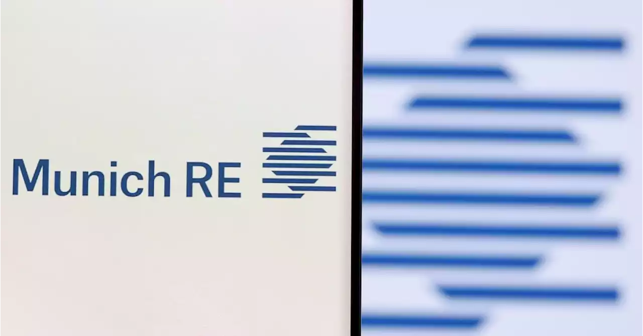 Munich Re posts 27% profit decline but rosier full-year outlook