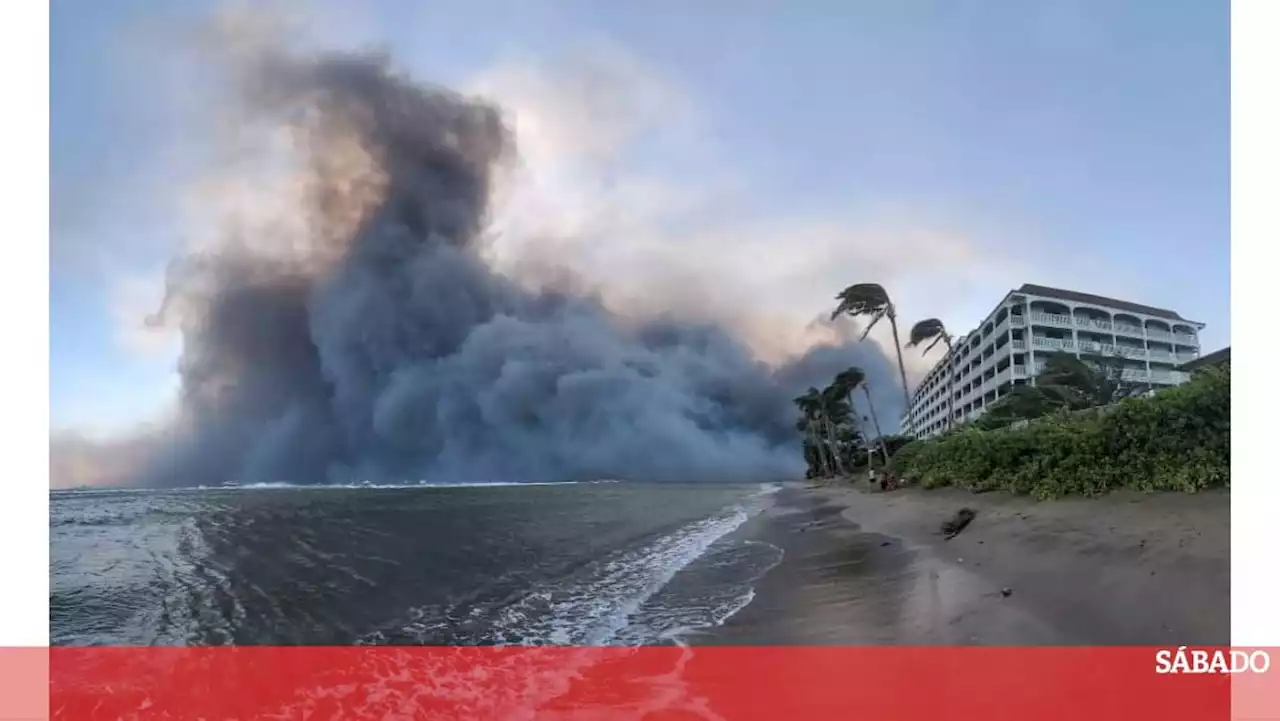 Sobe para 36 o número de mortos nos incêndios no Havai