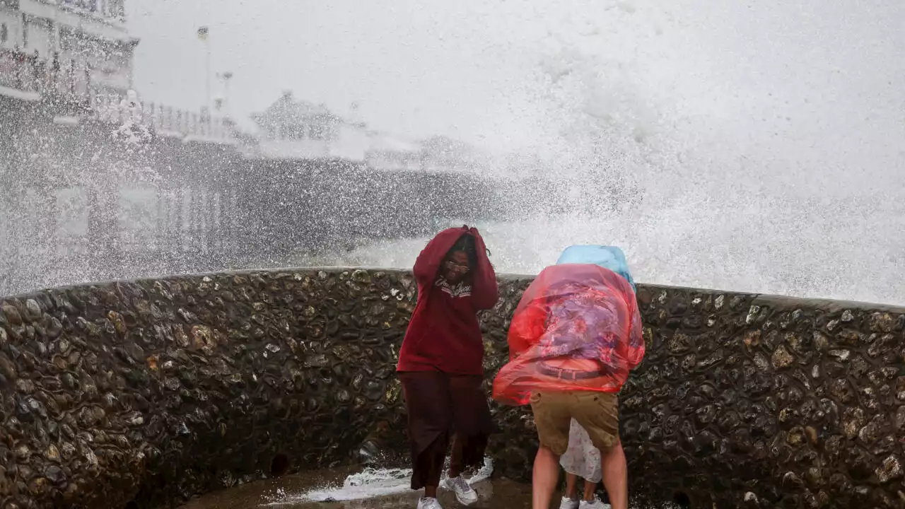 Royaume-Uni: l'été pluvieux et froid favorise la mue précoce des phoques