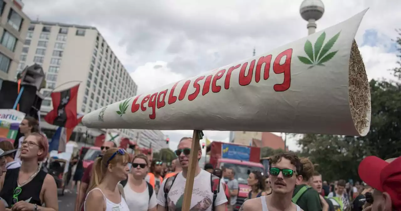 Entwurf zur Entkriminalisierung: Kritik an Cannabis-Plänen der Regierung hält an