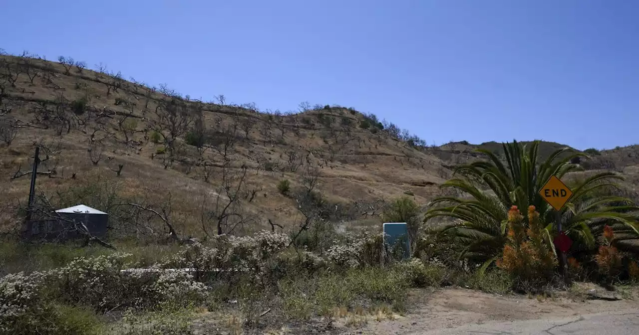 Opinion: California shouldn't block attempts to help struggling Rainbow, Fallbrook farmers survive