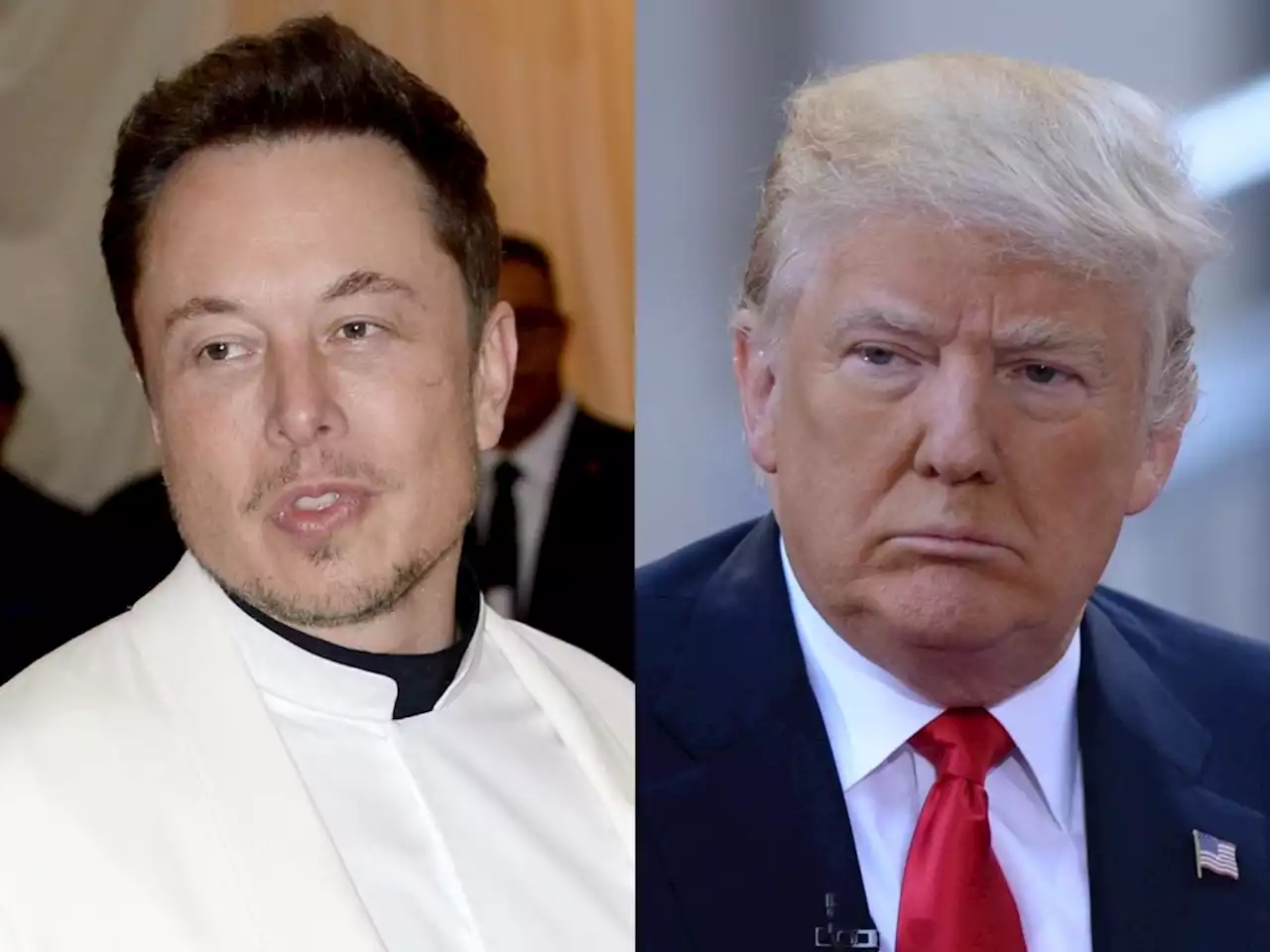 Elon Musk Is in Trouble With the Law Over Donald Trump's Twitter Account