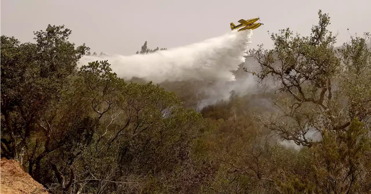 Incêndio em Odemira ainda mobiliza quase 1.000 operacionais