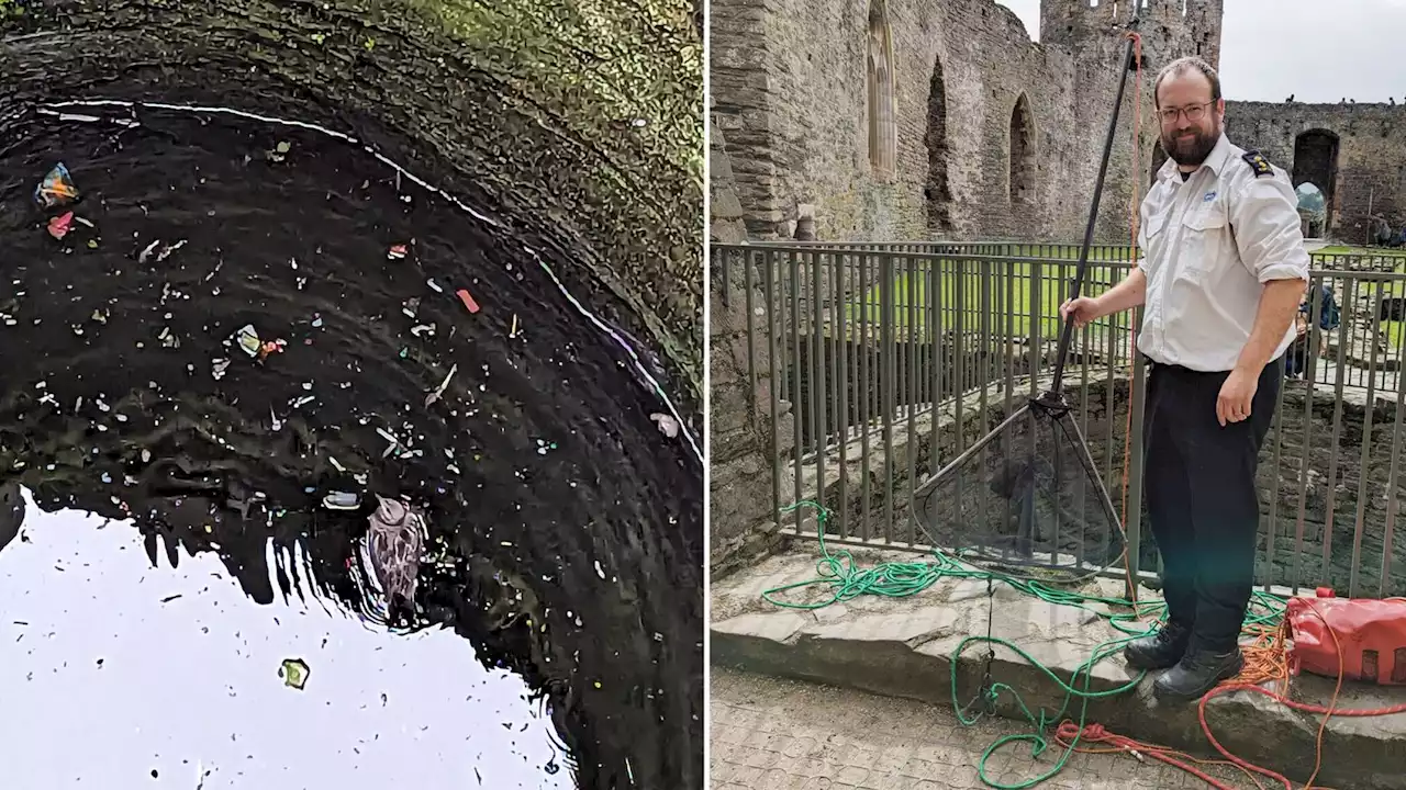 Gull rescued from Conwy Castle well using 'giant spoon'