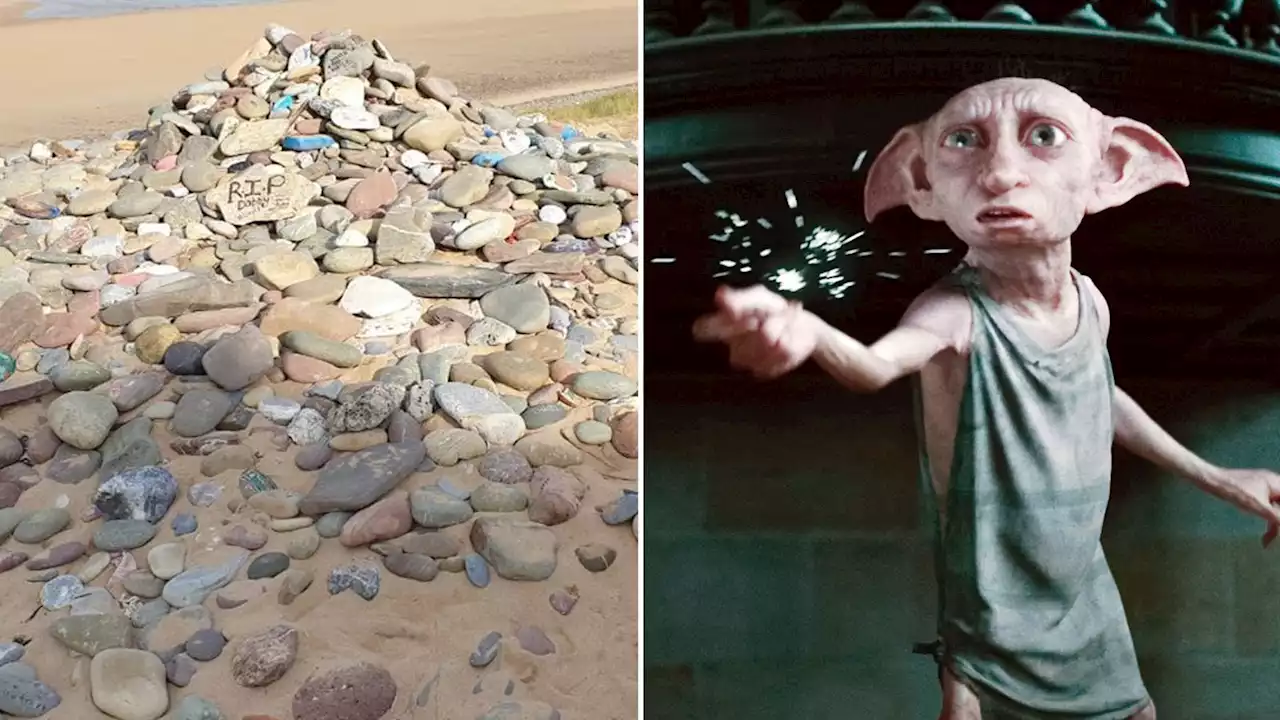 Harry Potter: Visitors urged not to leave socks at Dobby's memorial in Pembrokeshire