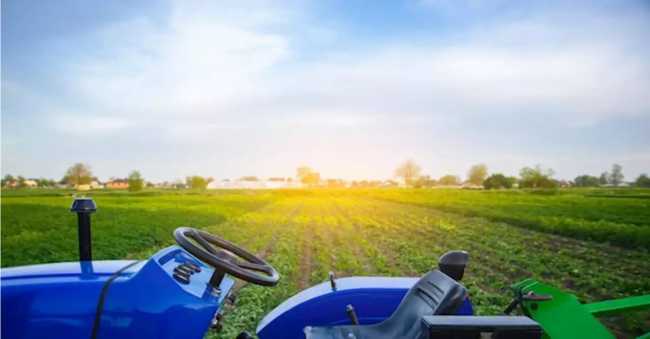 Agricoltura, innovazione con fondo perduto