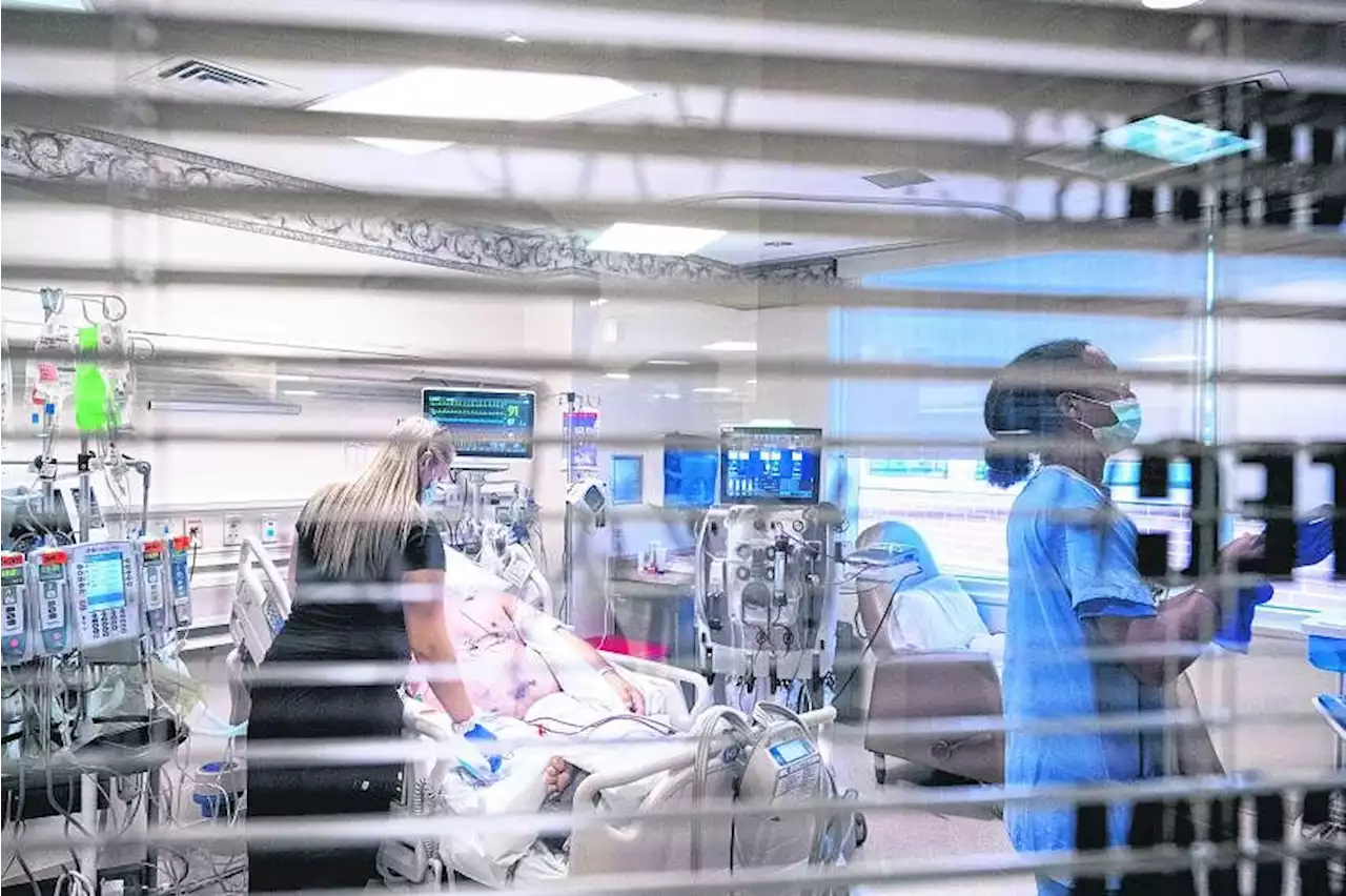 Covid-19 hospitalisations in US rising, fuelled by heat and waning protection