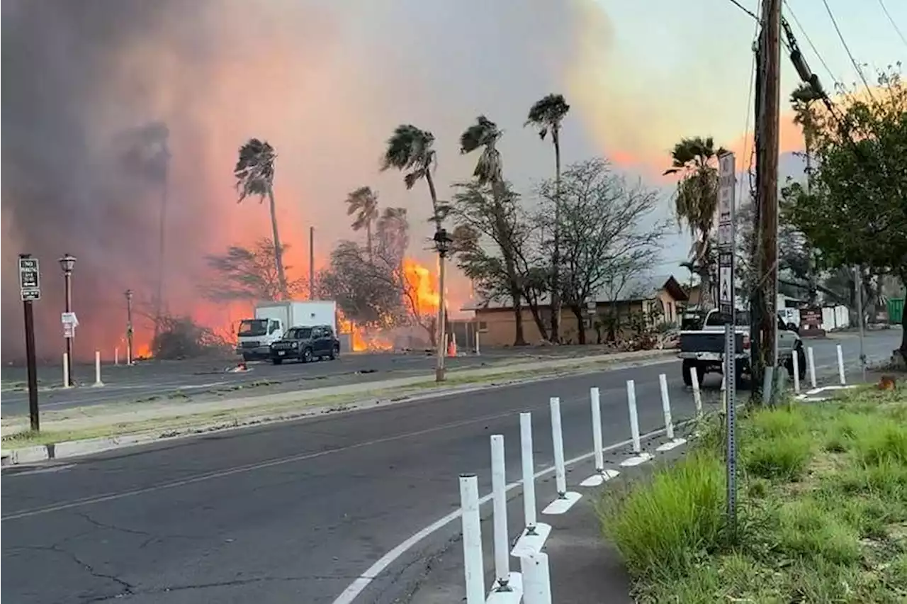 6 people killed in Hawaii wildfire as survivors flee into ocean