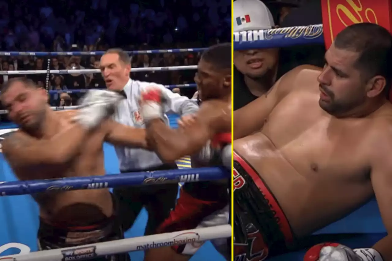 Joshua snapped back head of opponent and left him sprawled against ropes with vicious KO