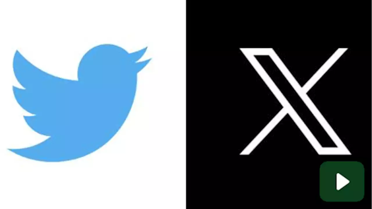 Twitter, all'asta tutti i cimeli tra cui il vecchio logo: l'uccellino celeste