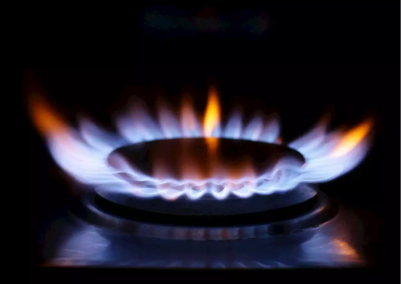 Energy boss warns customers to reduce consumption as price crisis ‘is not over’