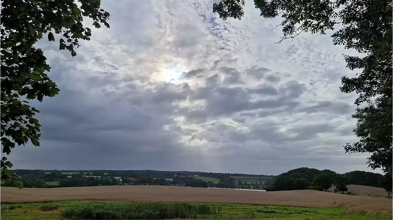 Vejret bevæger sig én vej torsdag - fredag bliver det endnu bedre