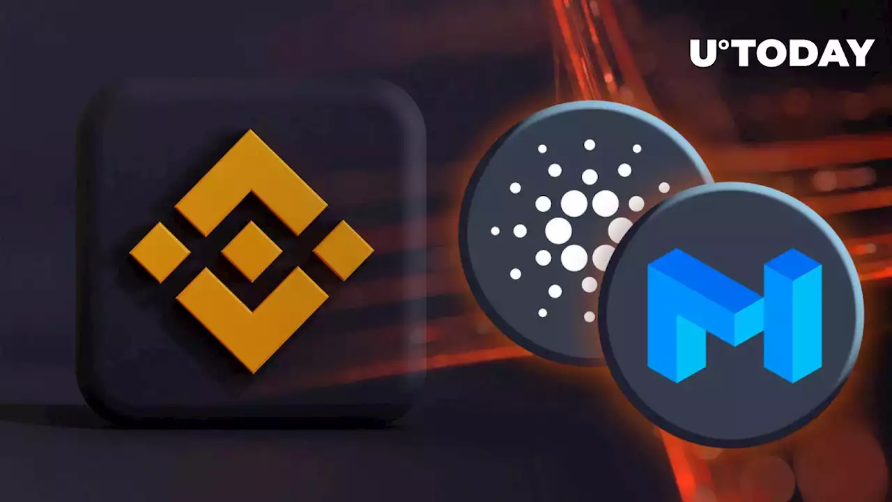 Binance to Delist New ADA and MATIC Trading Pairs