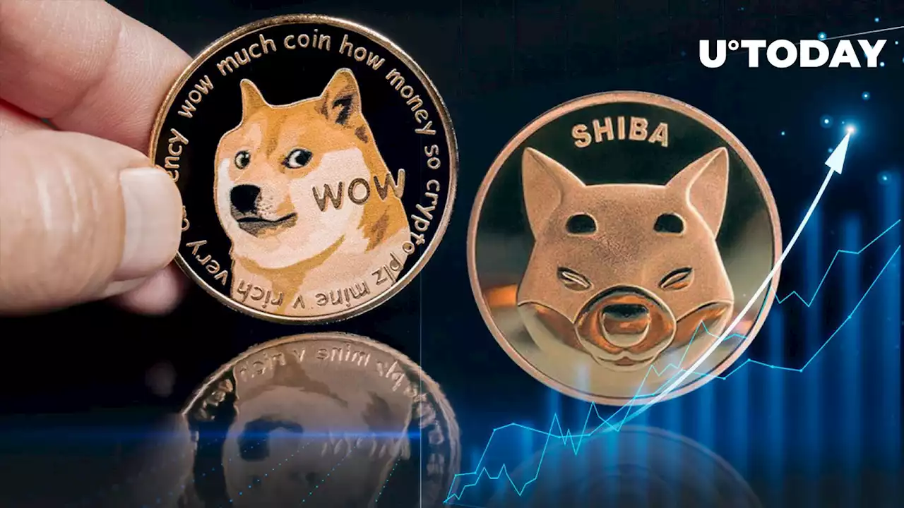 SHIB Might Affect Dogecoin Prospects, Analyst Explains