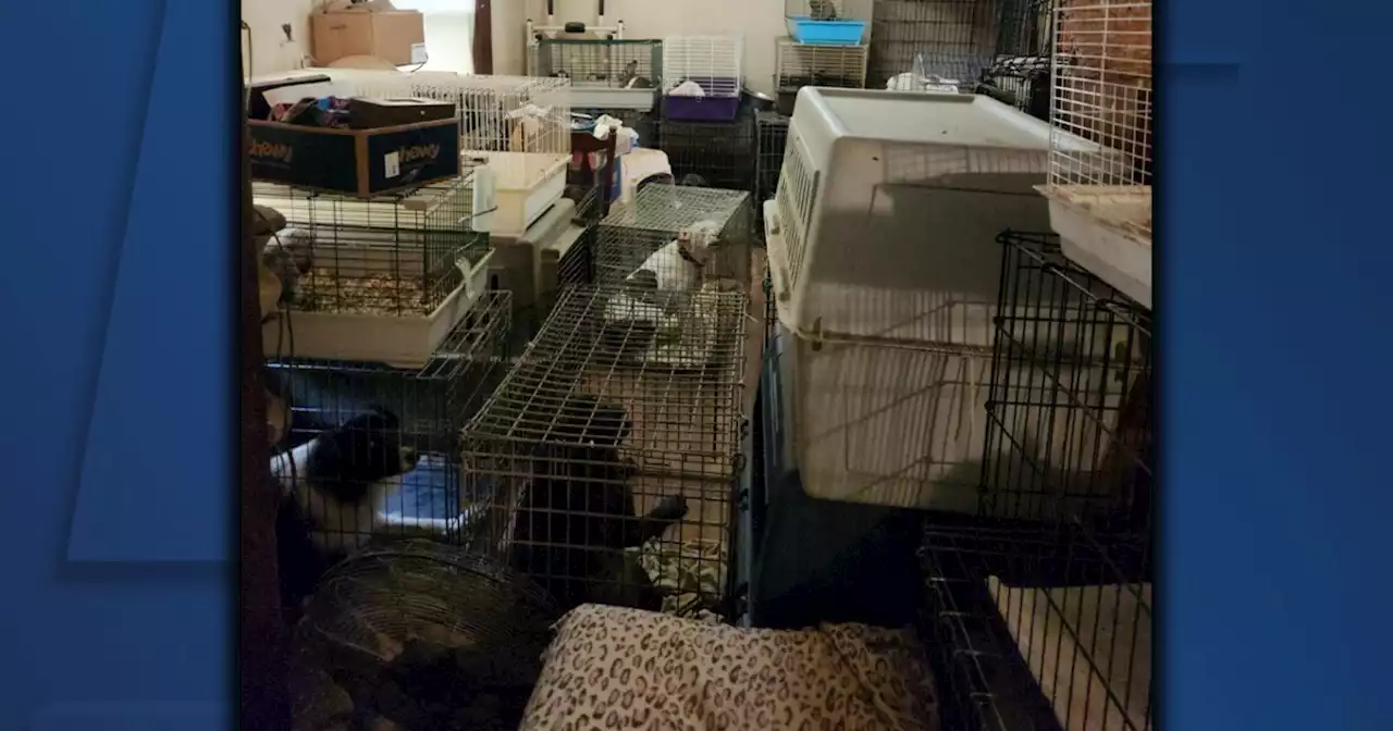 More than 100 animals recovered from Cleveland home in neglect case