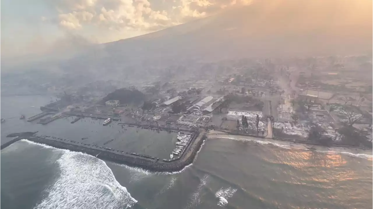 Hawaii wildfires live updates: At least 36 dead as Lahaina burns to the ground