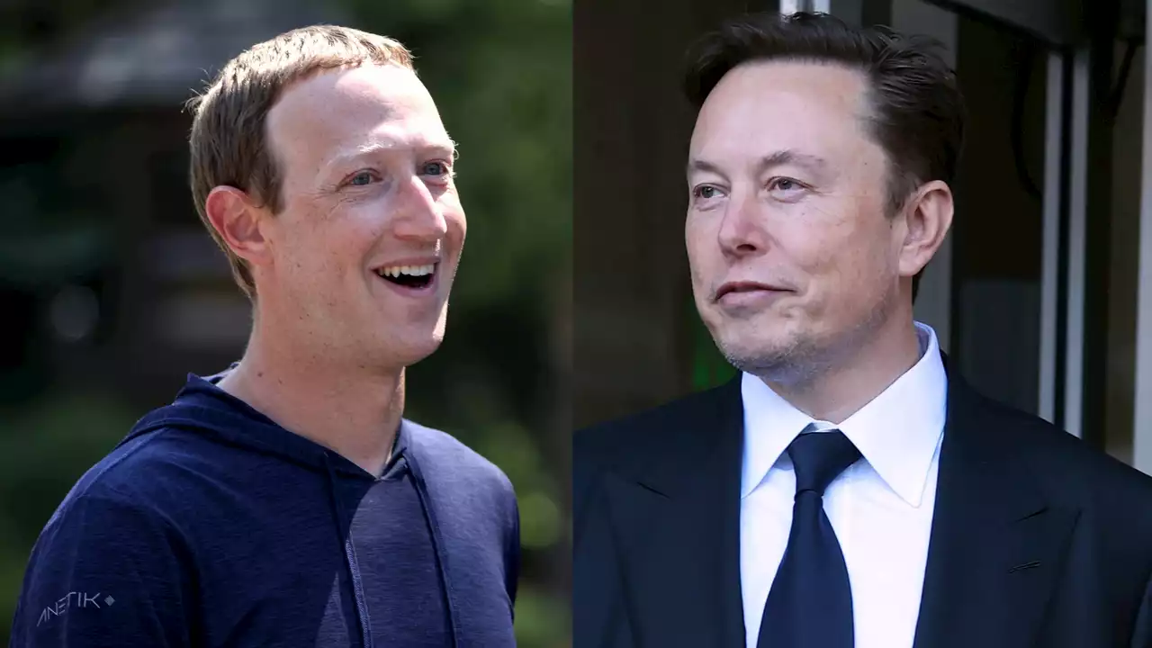 La 'pelea del siglo' entre Elon Musk y Mark Zuckerberg se podría celebrar en el Coliseo