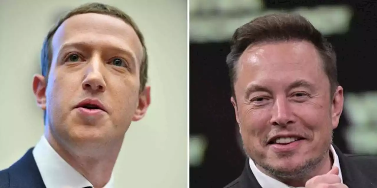 Habrá pelea: Elon Musk confirma que se enfrentará a Mark Zuckerberg en Roma