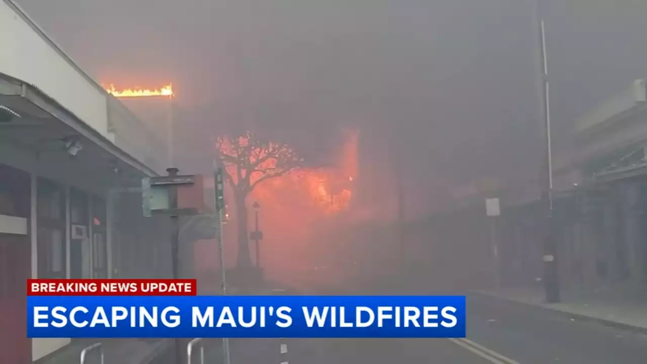 Maui fire: Lahaina looks like 'bomb' went off, returning travelers from Illinois say