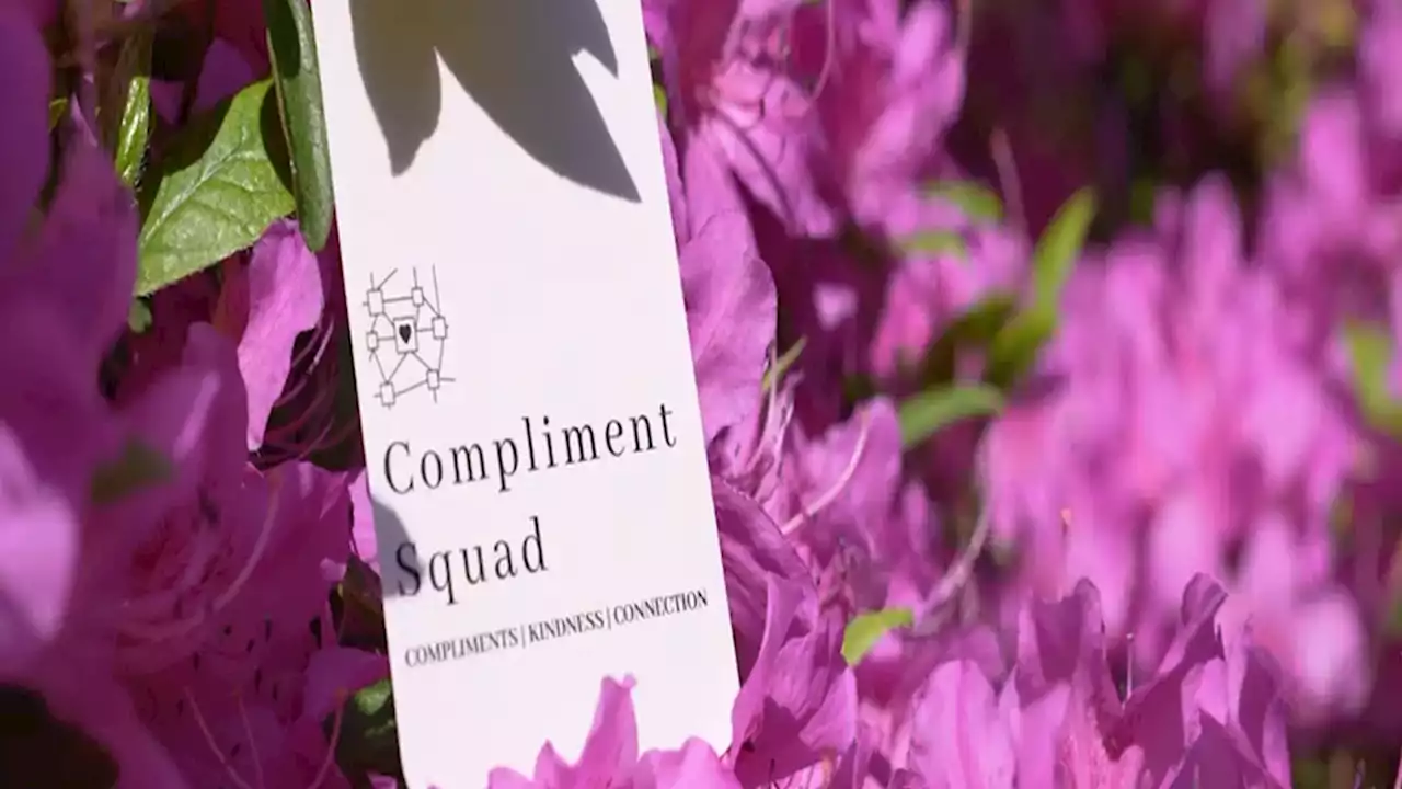 The Compliment Squad is on a mission to spread love around Philadelphia