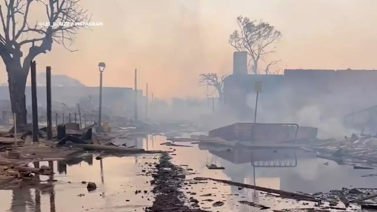 'So hopeless': Bay Area families still at risk amid Maui wildfires