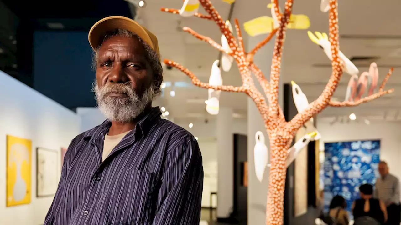 Queenland 'master of carving' takes out Australia's top Indigenous art prize