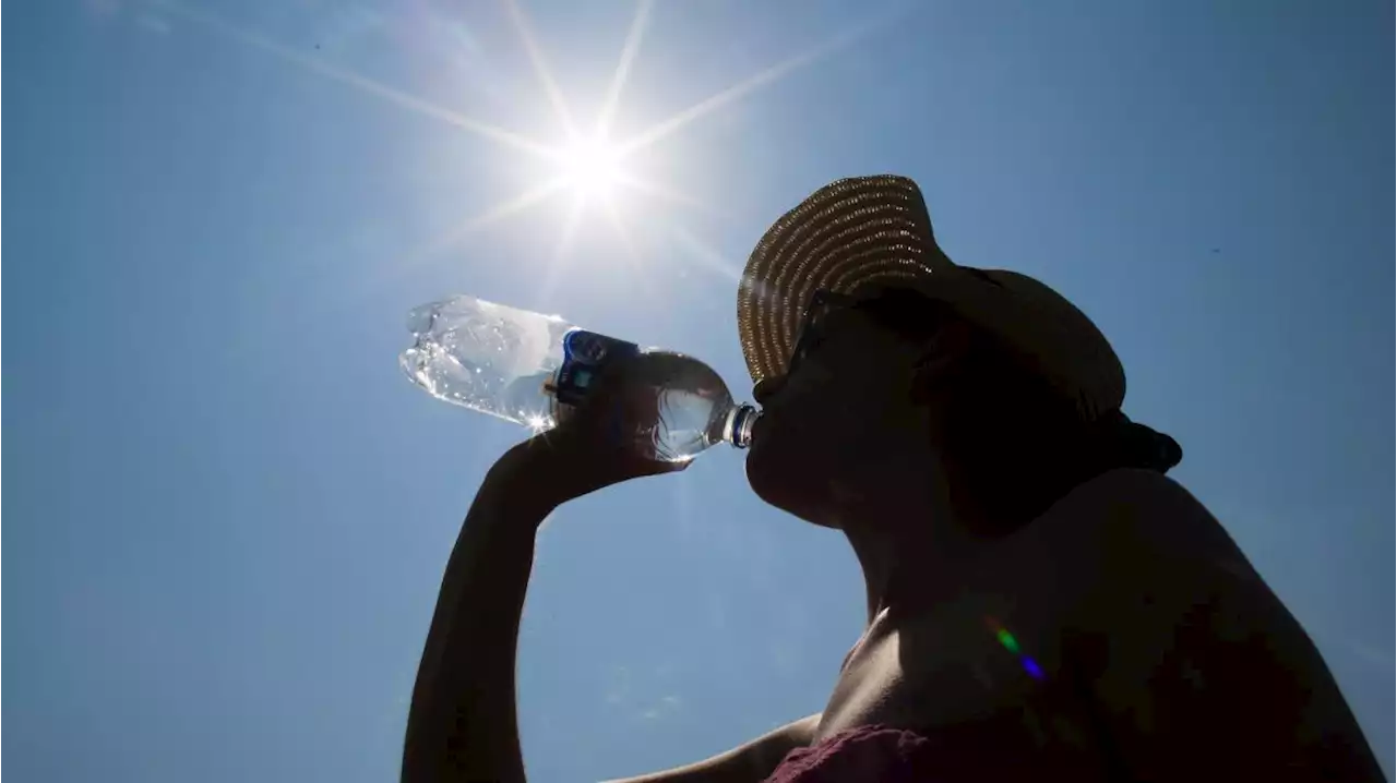 Wetter in Bayern: Der Sommer kommt am Wochenende zurück