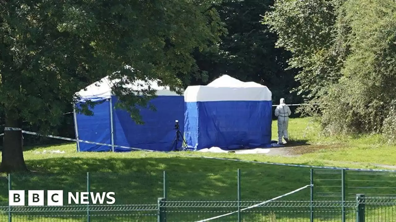 Man in 70s stabbed to death in Sheffield park