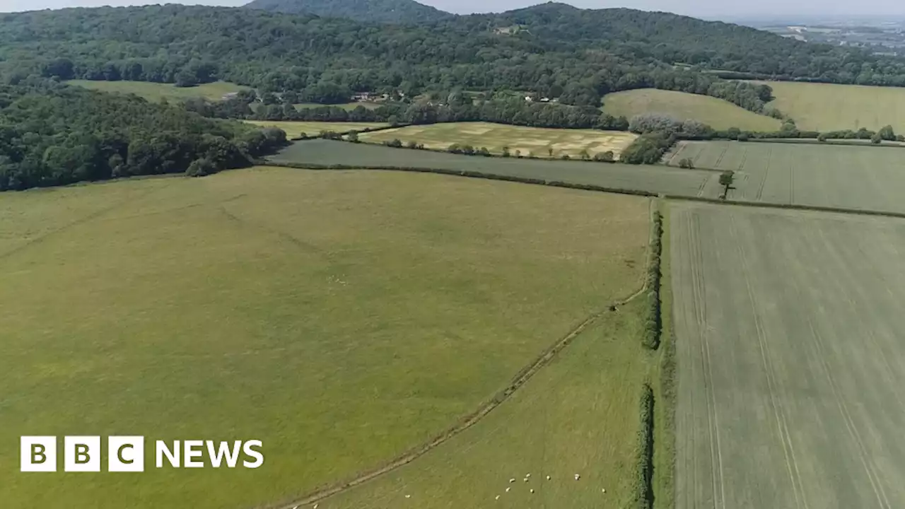 Bid to block Telford solar farm at High Court fails