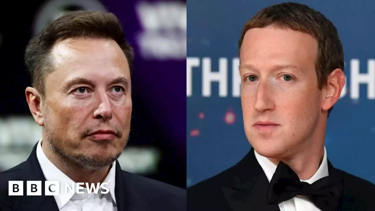 Italy could host Musk v Zuckerberg cage fight