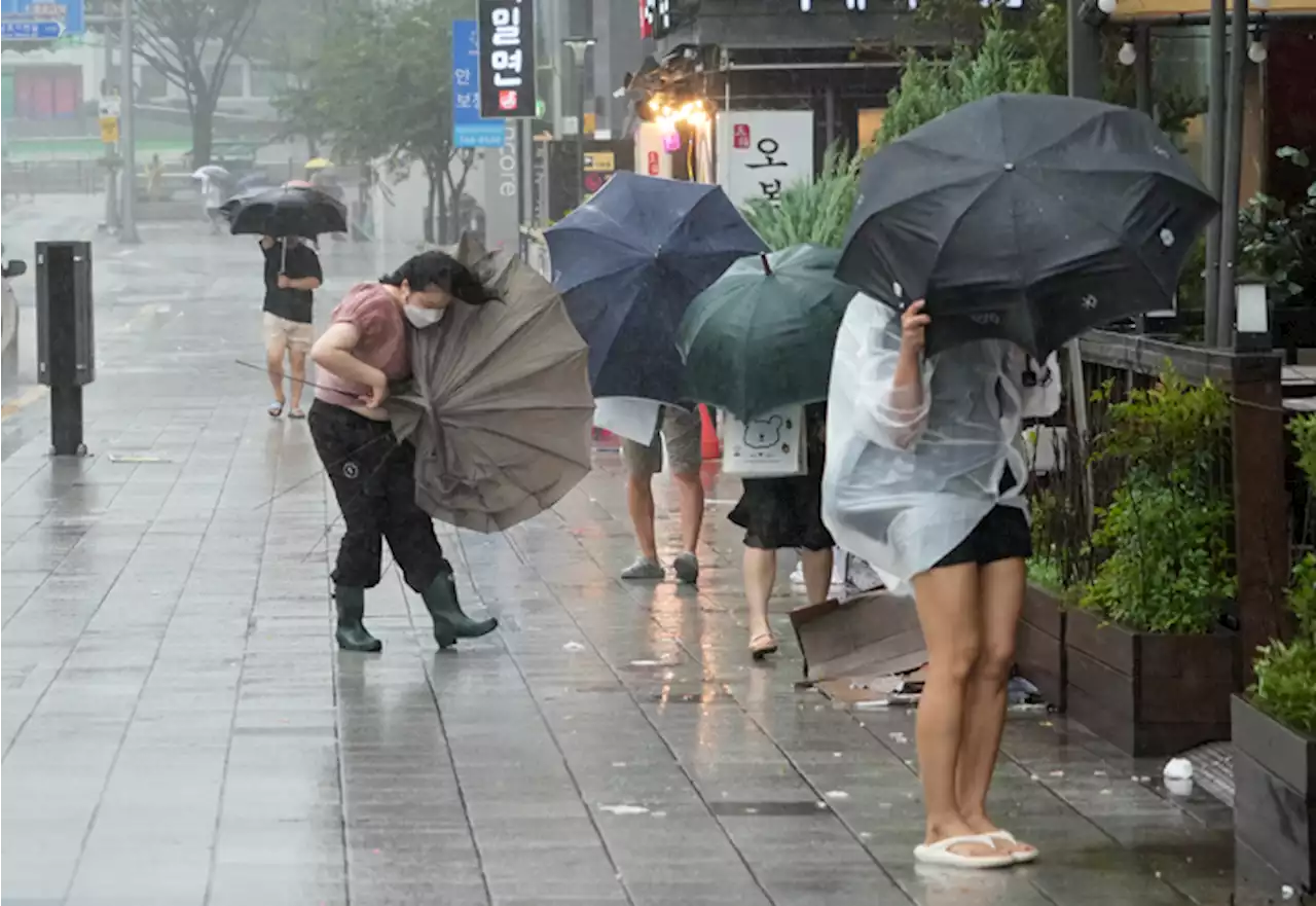 Khanun slams into South Korea, toppling trees, ripping off roofs | Kim Tong-Hyung, Yong Jun Chang & Ahn Young-Joon / The Associated Press