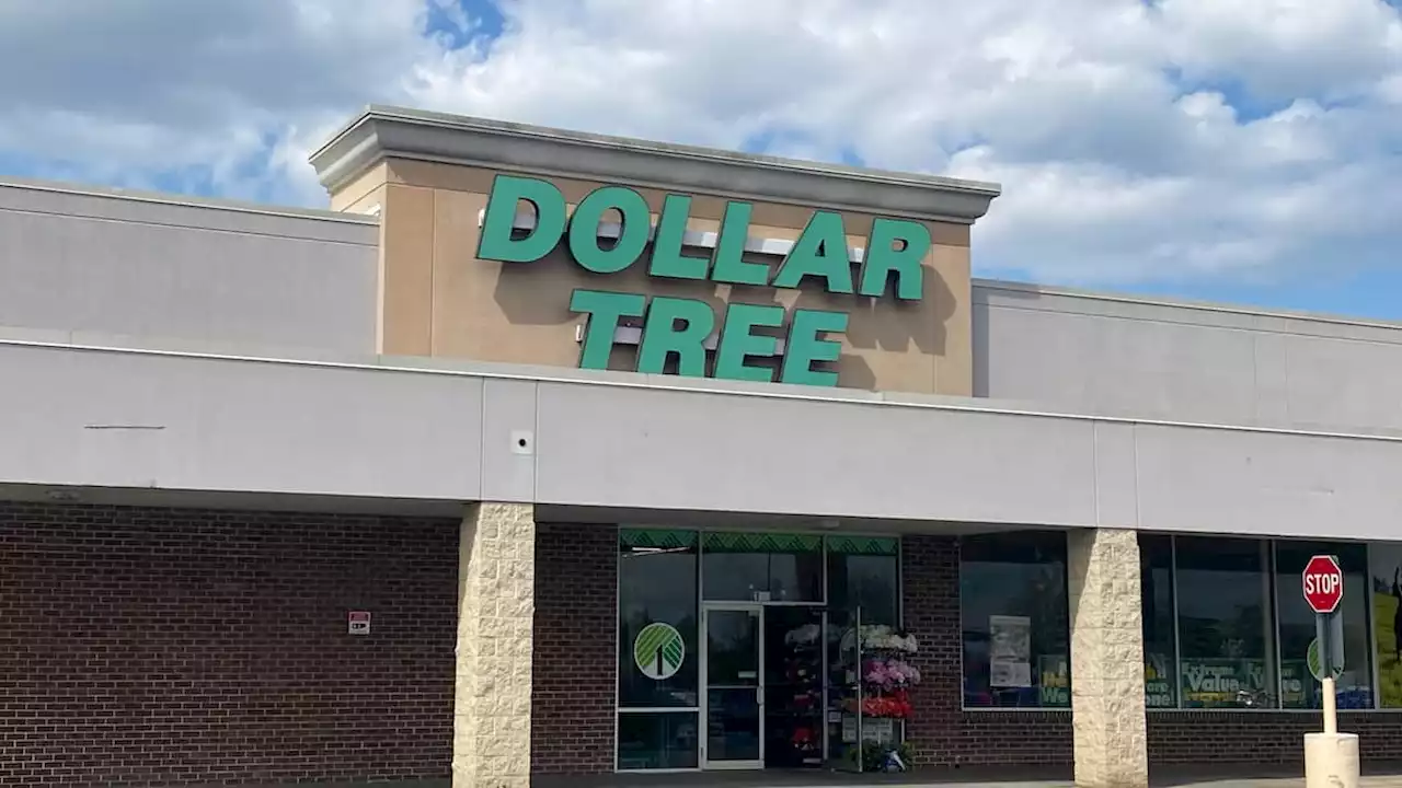 Dollar Tree: Verbraucherstimmung in den USA sinkt leicht