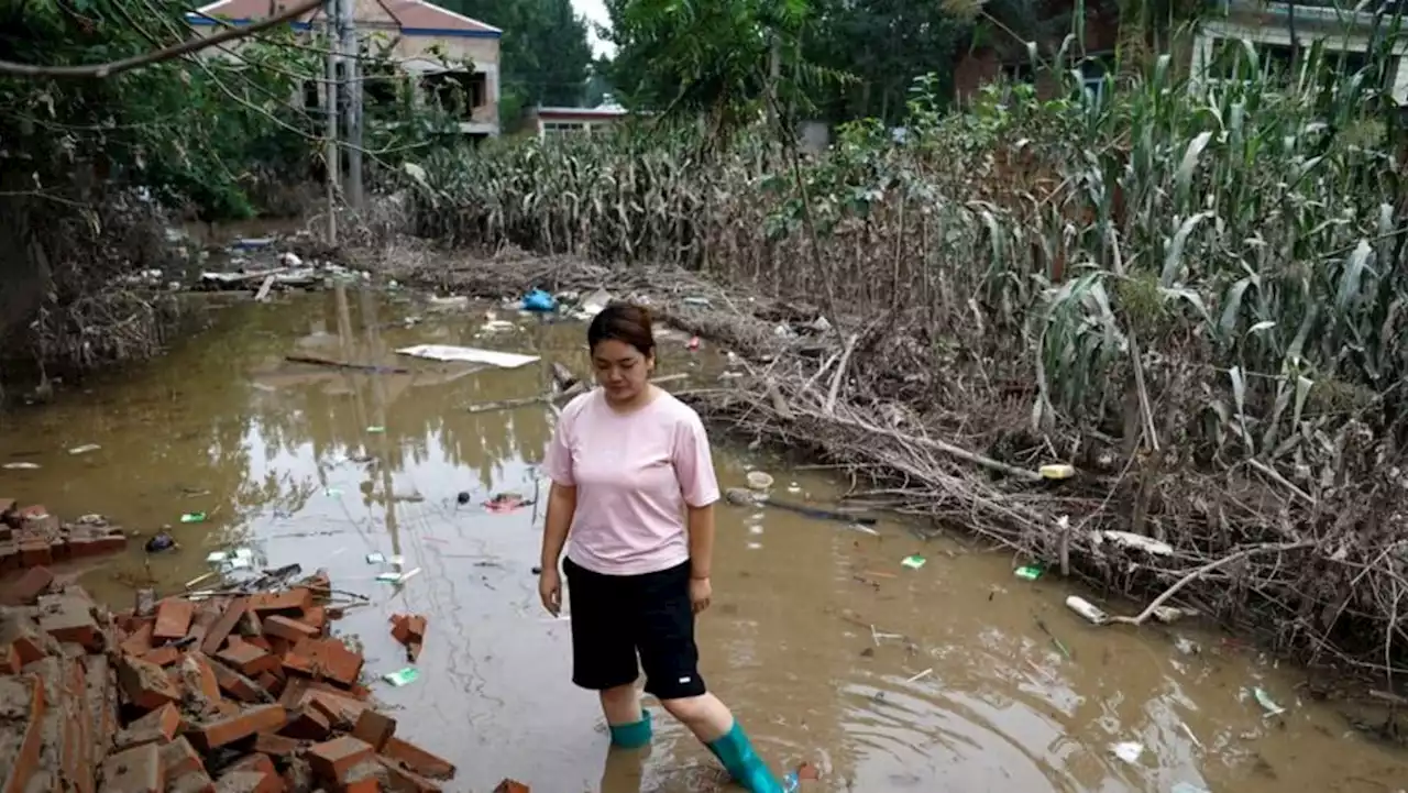 China's Hebei province plans for two years for post-flood reconstruction