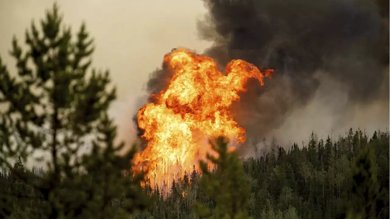 Federal officials warn of extended wildfire season in Canada