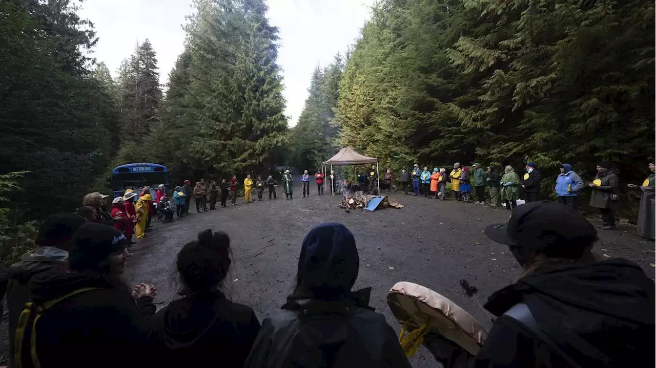 Supreme Court of Canada Refuses to Hear Appeal in Old-Growth Logging Blockade Case