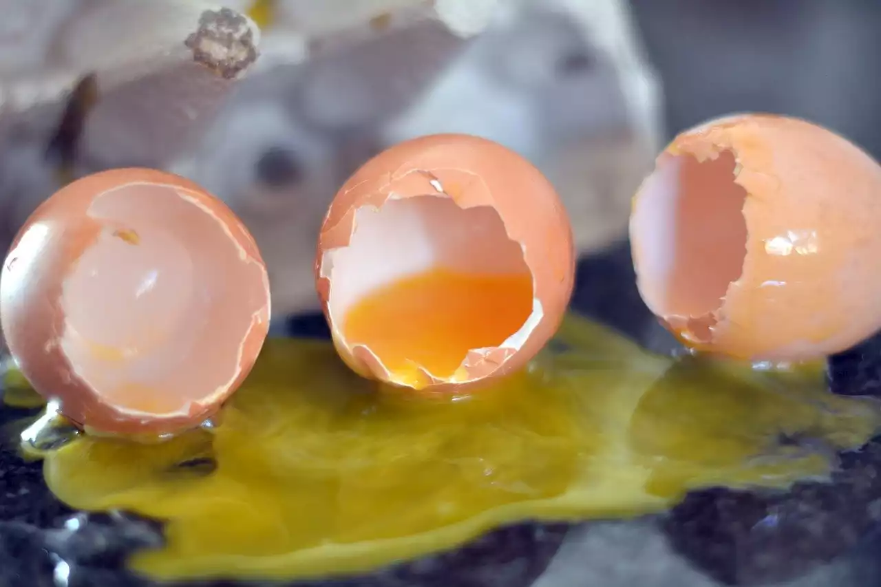 Saint-Maur-des-Fossés : le “gang de l’omelette” sème la terreur à cause de ses attaques ciblées très particulières - Closer