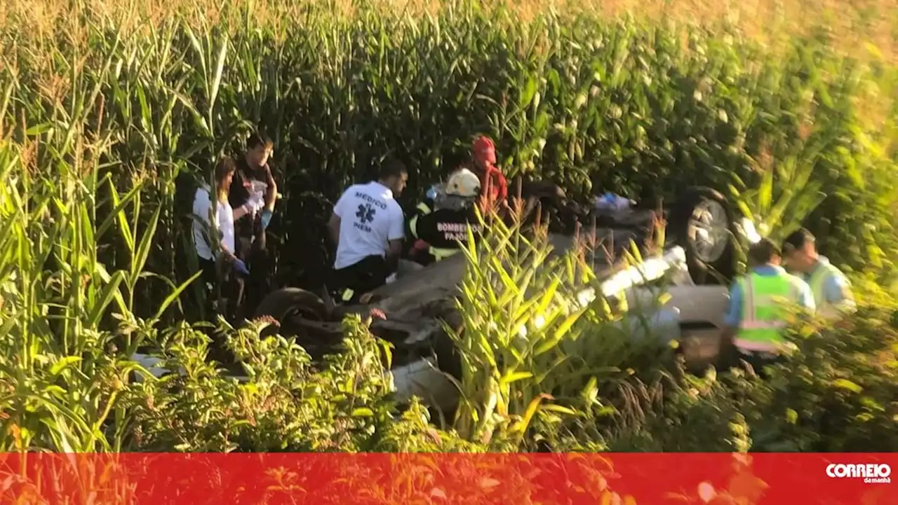 Idoso ferido com gravidade após despiste em Oliveira de Azeméis