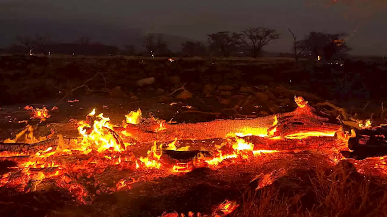 Hawaii wildfire death toll rises to 55, historic capital Lahaina 'reduced to ashes'