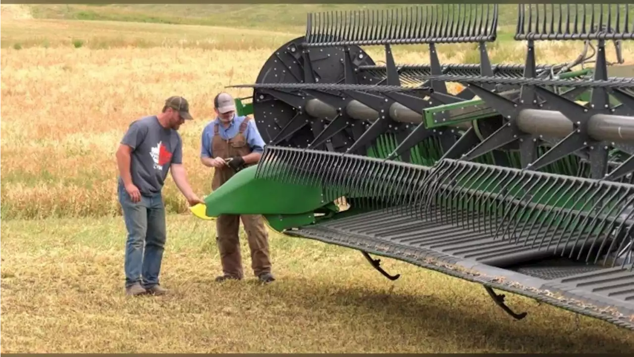 Early Harvest in Southern Alberta Leads to Decreased Grain Yield