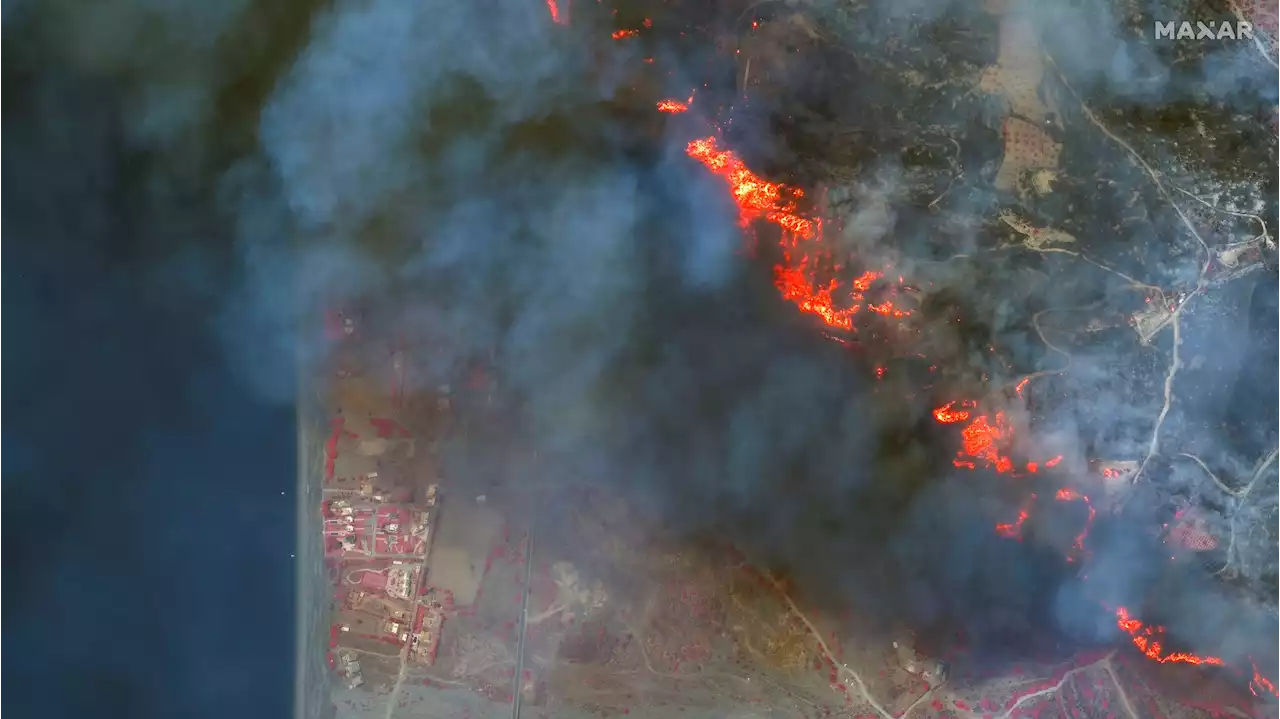 Satellitbilder visar förödelsen i Hawaii