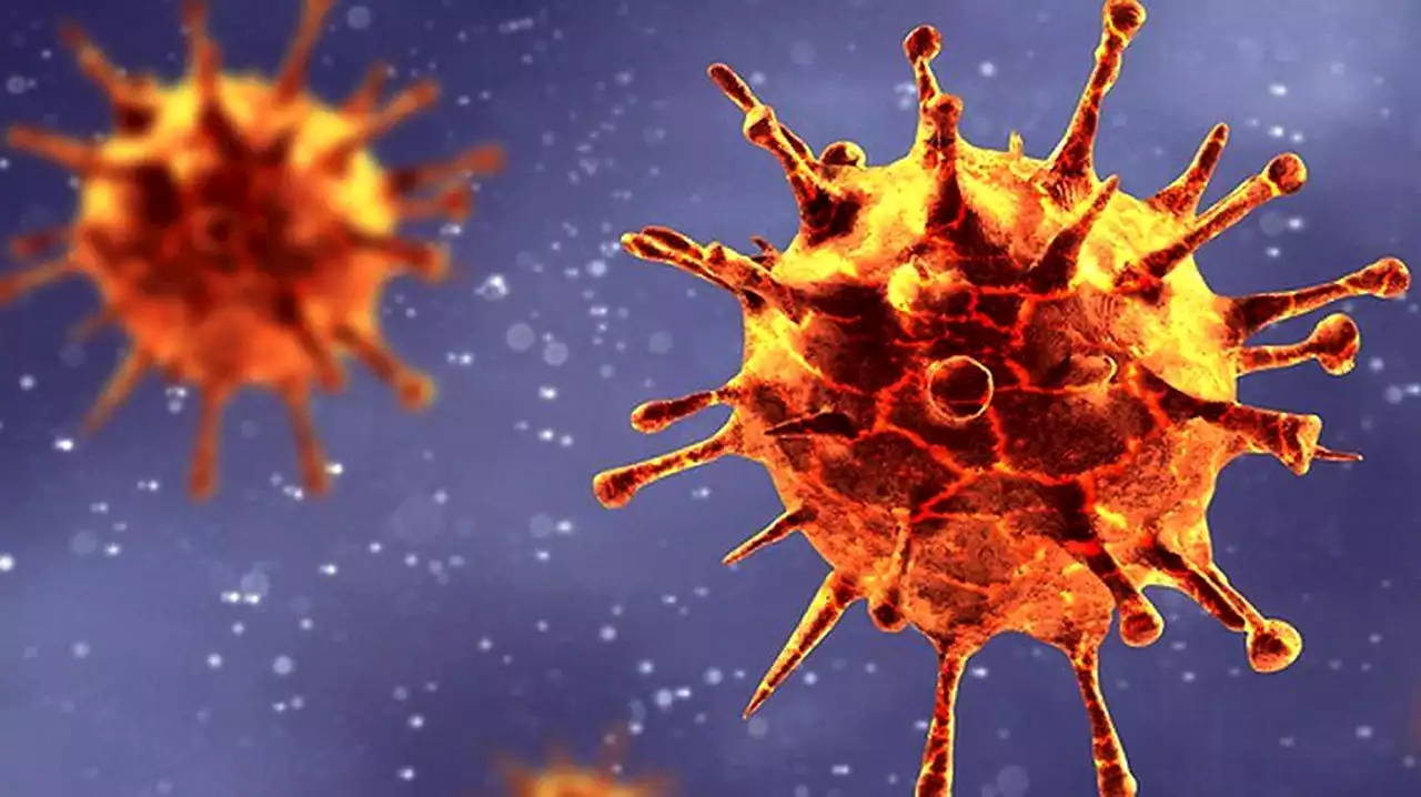 ‘Spike in infections’: WHO declares new Covid variant – but no evidence yet of increase in severity