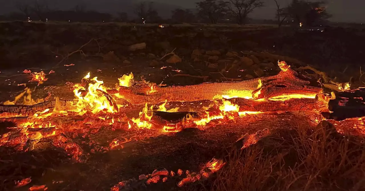 Hawaii fire: Death toll rises to 55 in Maui as fire devastates Lahaina