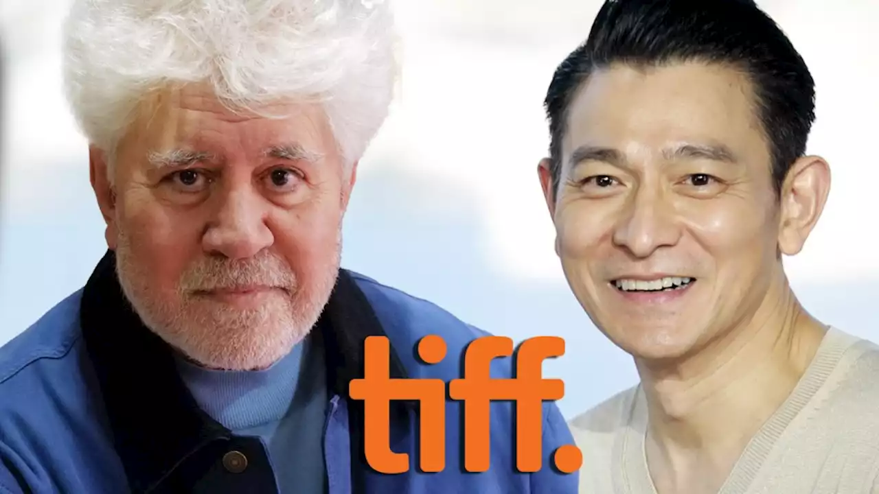 TIFF Keynotes Include Pedro Almodóvar, Andy Lau & ‘Concrete Utopia’ Stars