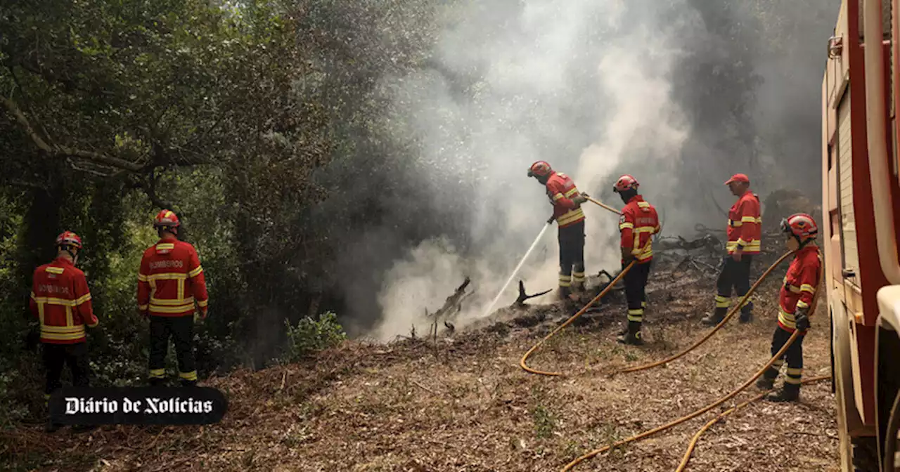 Incêndios: Fogo obriga a corte de Estrada Nacional 230 no Tortosendo, na Covilhã