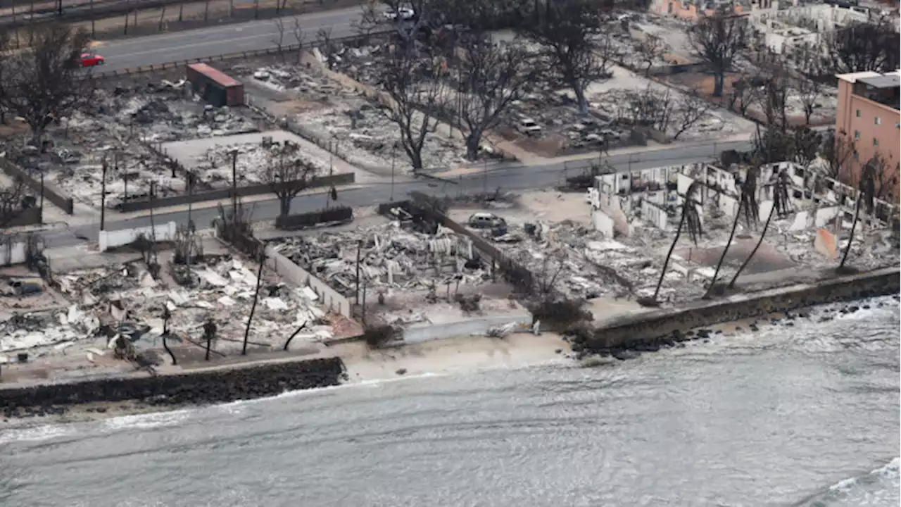 Ulrichs hus i Hawaii forsvandt i flammerne: 'Vi havde aldrig nogensinde forestillet os, at det kunne gå på den måde'