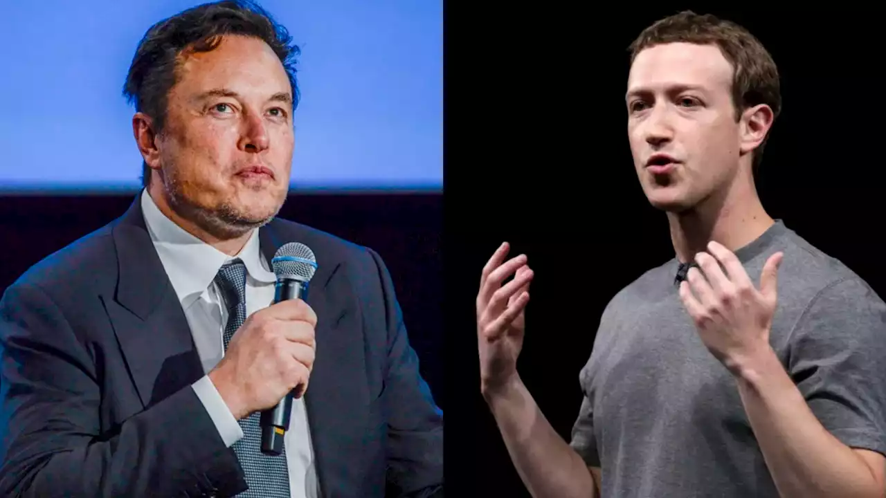 La pelea entre Musk y Zuckerberg será en “una ubicación épica” de Italia