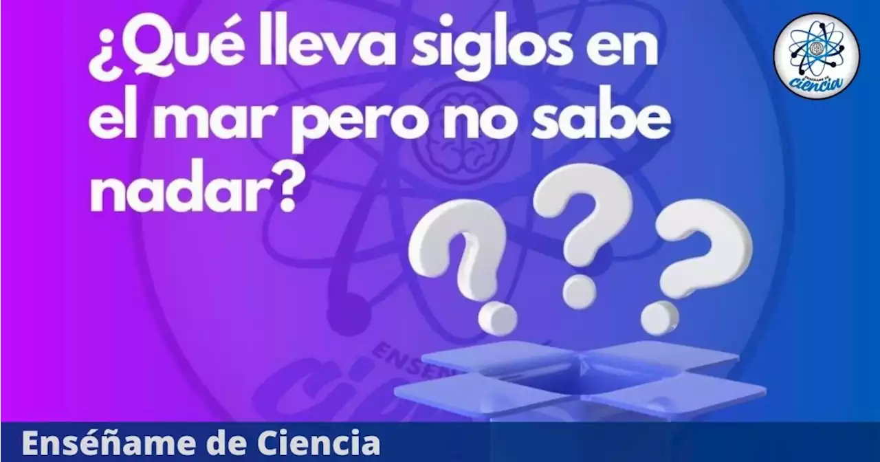 Resuelve el siguiente acertijo viral y demuestra que eres un máster como adivinador