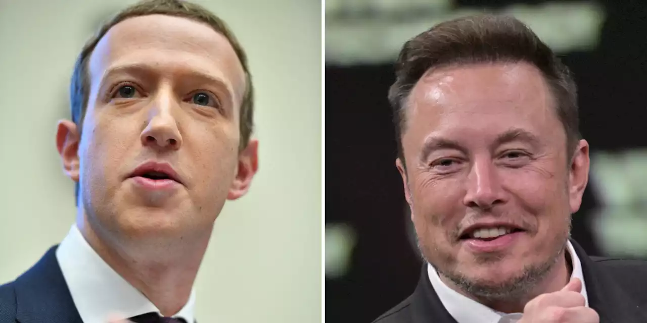 Elon Musk affirme que son «combat» contre Mark Zuckerberg aura lieu en Italie